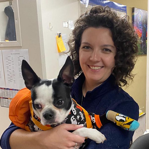 veterinarian with pet after surgery